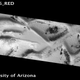 Illustration for article titled The Mysterious Honeycomb Structures on Mars